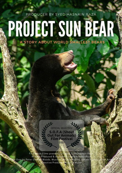 Póster de Project Sun Bear