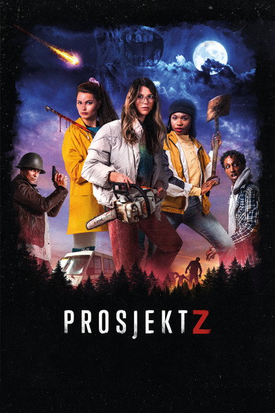 Póster de Project Z