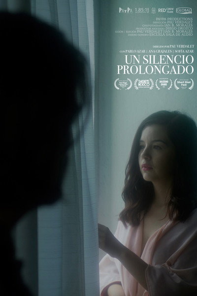 Póster de Prolonged Silence