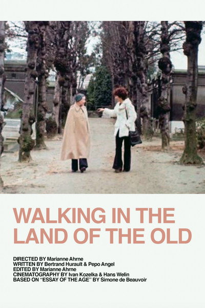 Póster de Promenad i de gamlas land