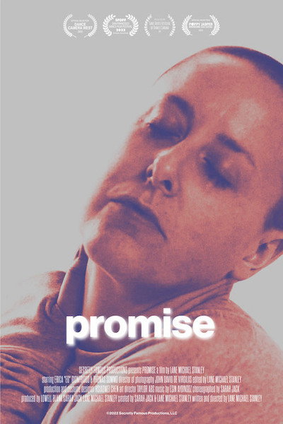 Póster de Promise