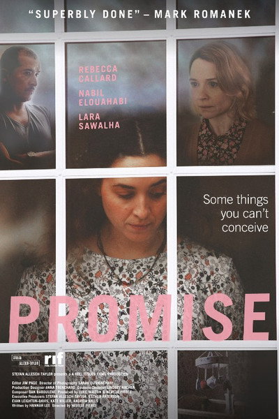 Póster de Promise