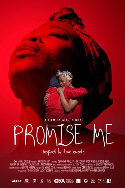 Póster de Promise Me