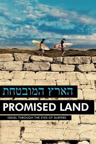 Póster de Promised Land