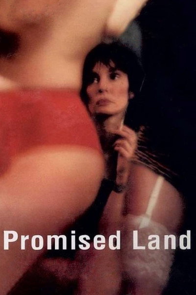 Póster de Promised land