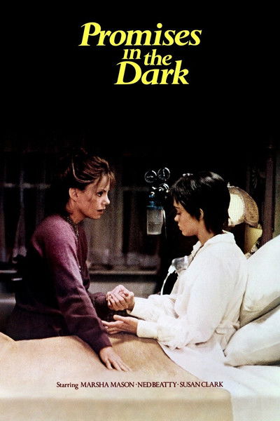 Póster de Promises in the Dark