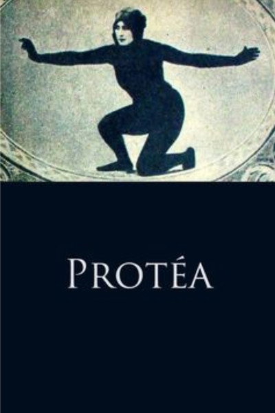 Póster de Protea