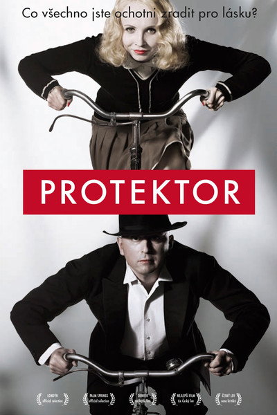 Póster de Protector