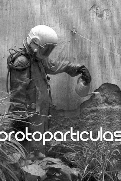 Póster de Protopartículas