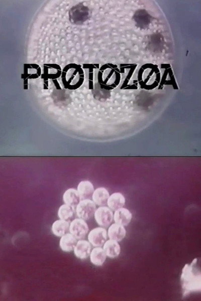 Póster de Protozoa