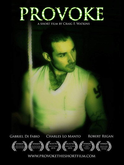 Póster de Provoke