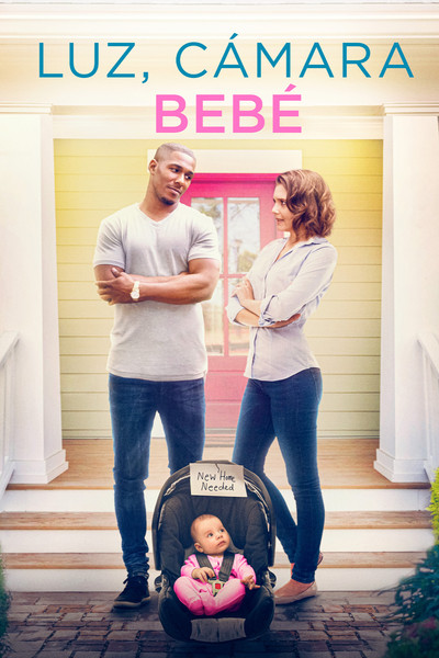 Póster de Proyecto bebé