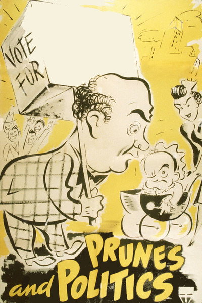Póster de Prunes and Politics