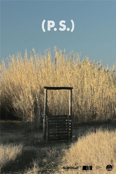 Póster de (P.S.)