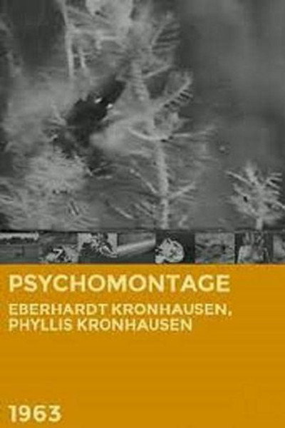 Póster de Psychomontage