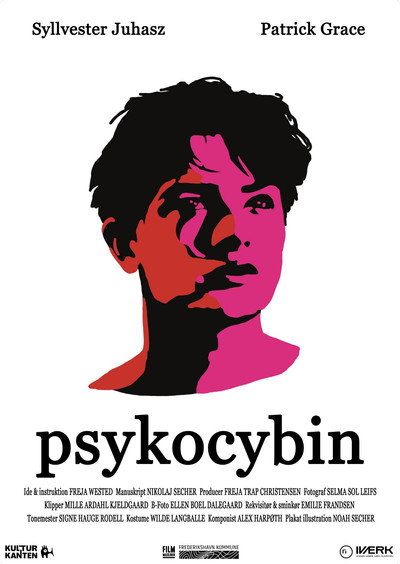 Póster de Psykocybin