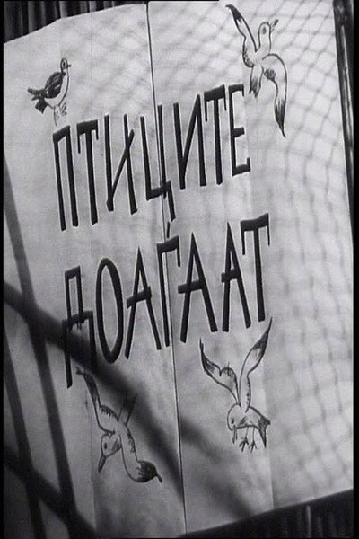 Póster de Pticite doagaat