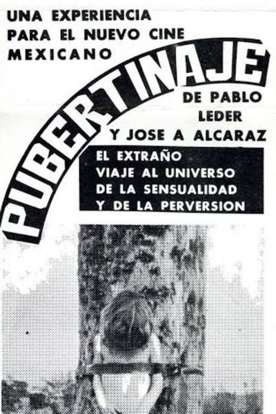 Póster de Pubertinaje