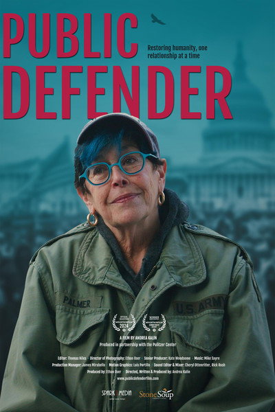 Póster de Public Defender
