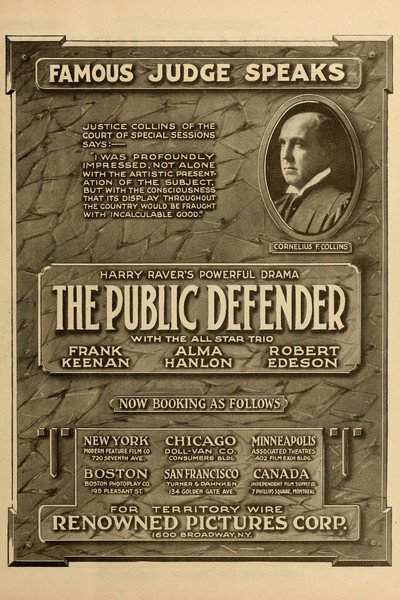 Póster de Public Defender