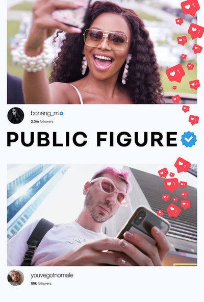 Póster de Public Figure