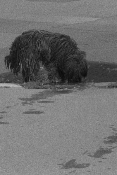 Póster de Puddles, I Don't Know