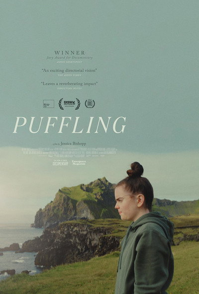 Póster de Puffling