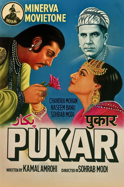 Póster de Pukar