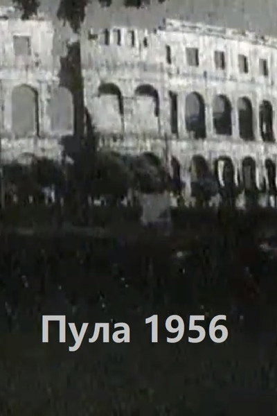 Póster de Pula