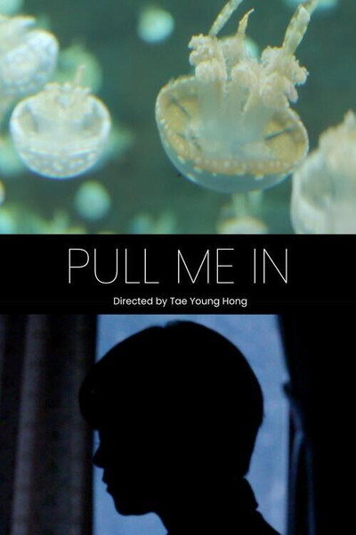 Póster de Pull Me In