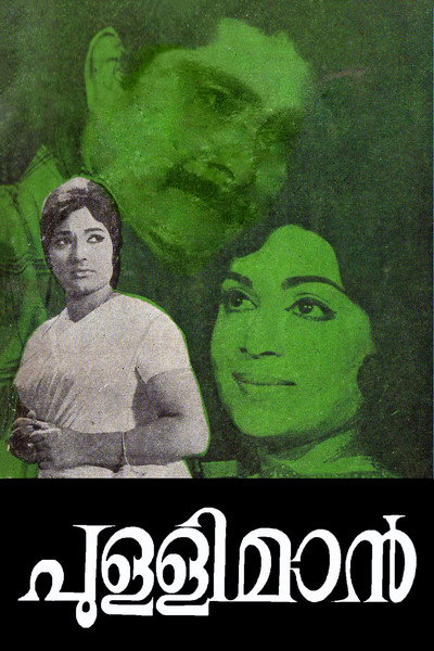 Póster de Pullimaan