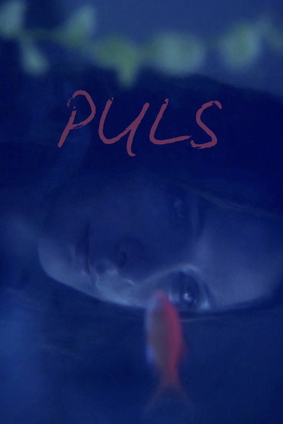 Póster de Puls