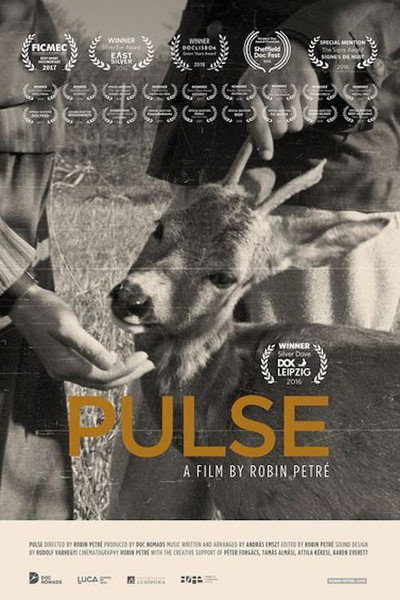 Póster de Pulse
