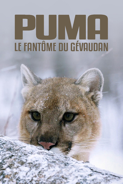 Póster de Puma, le fantôme du Gévaudan