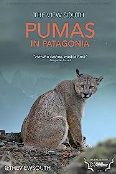 Póster de Pumas in Patagonia