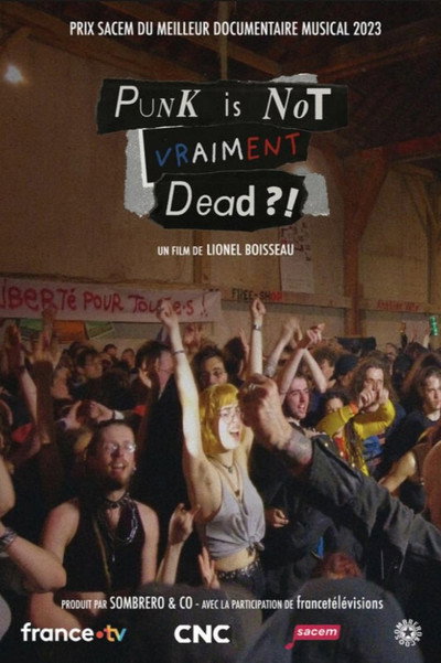 Póster de Punk is not vraiment dead?!