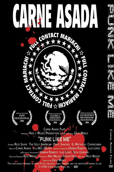 Póster de Punk Like Me