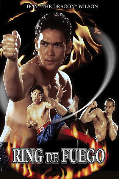 Póster de Puños de fuego