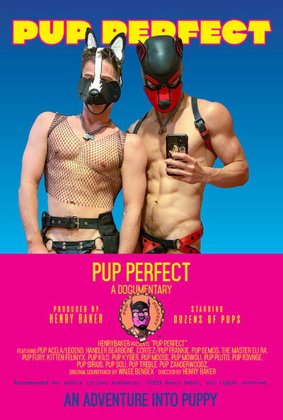 Póster de Pup Perfect