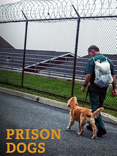 Póster de Puppies Behind Bars