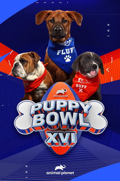 Póster de Puppy Bowl XVI