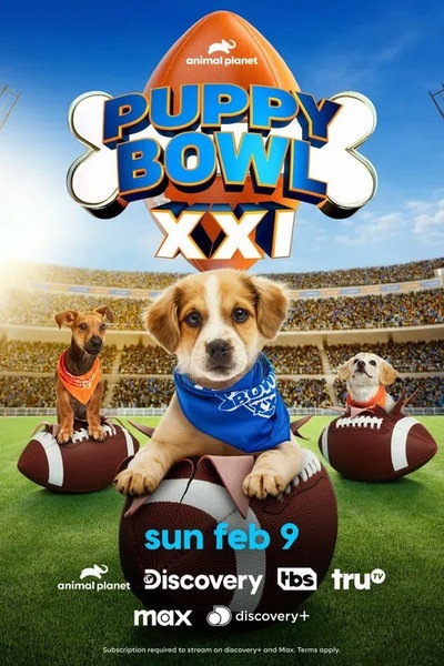 Póster de Puppy Bowl XXI