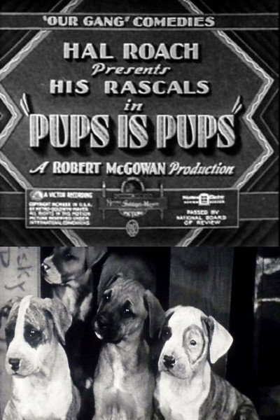 Póster de Pups Is Pups