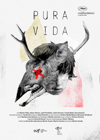 Póster de Pura Vida