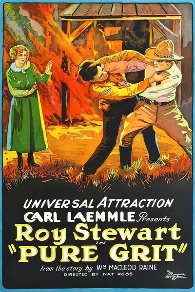 Póster de Pure Grit