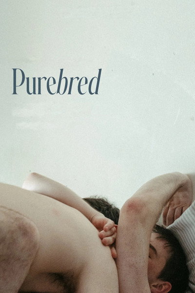 Póster de Purebred