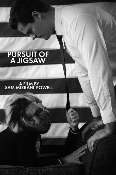 Póster de Pursuit Of A Jigsaw