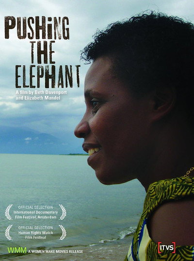 Póster de Pushing the Elephant
