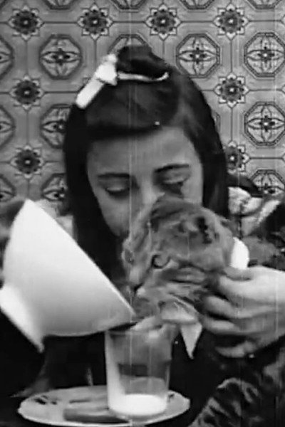 Póster de Pussy's Breakfast