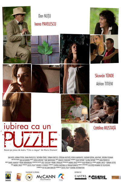 Póster de Puzzle